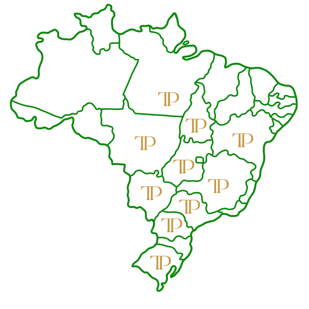Mapa Brasil Digital