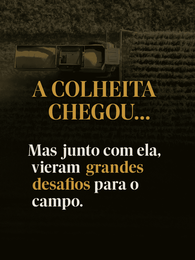 Colheita 2025: Desafios e Estratégias para o Produtor Rural
