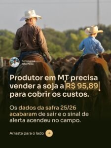 tulioparca.adv_1770332971_3826152645551817587_56512117383