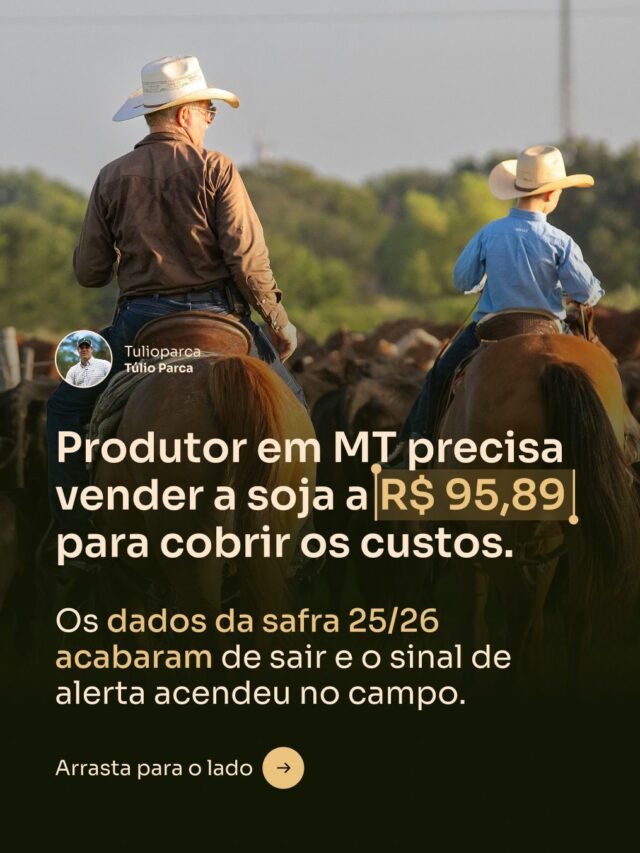 tulioparca.adv_1770332971_3826152645551817587_56512117383