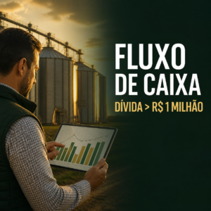Suspensão de dívida rural com Bradesco protege 100 cabeças de gado após estiagem em Minas Gerais - Thumb 06 Fluxo De Caixa 300x300