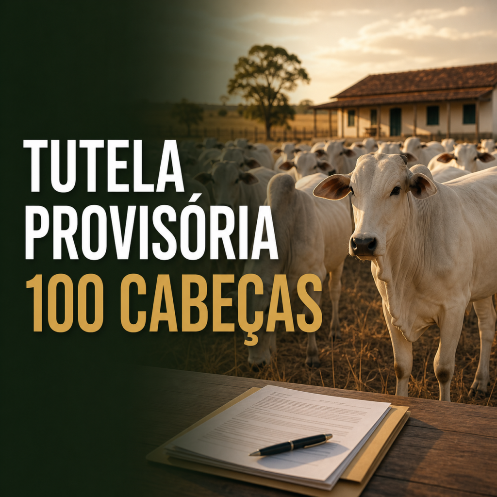 Túlio Parca Advogados - Thumb 12 Tutela Provisoria Gado 1024x1024