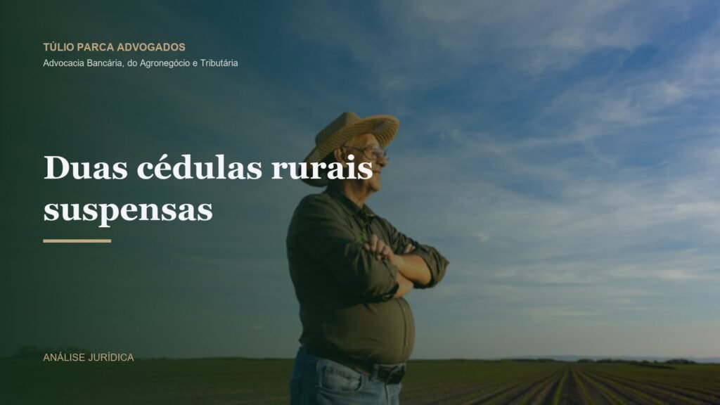 Produtor rural em lavoura ao entardecer, representando a produção de alho e a atividade familiar