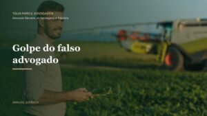 Lavoura ao entardecer com produtor rural ao fundo