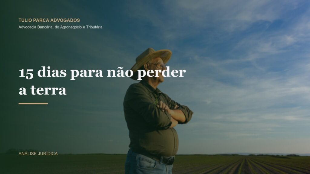 Lavoura ao entardecer representando a pequena propriedade rural familiar