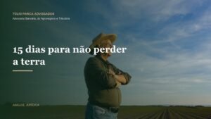Lavoura ao entardecer representando a pequena propriedade rural familiar