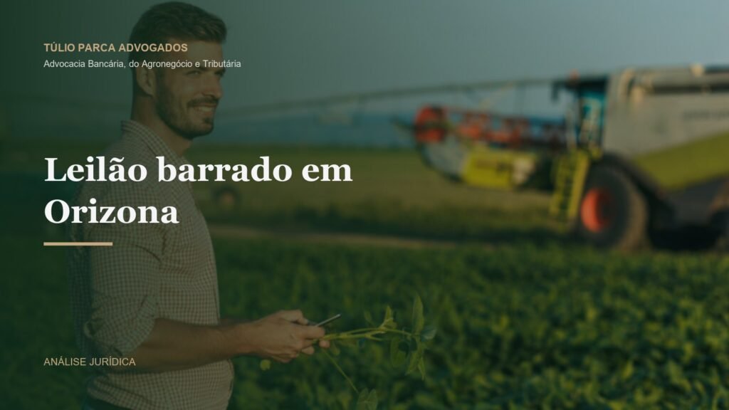 Pecuária em área rural ao entardecer, com pastagem e gado ao fundo representando a pequena propriedade