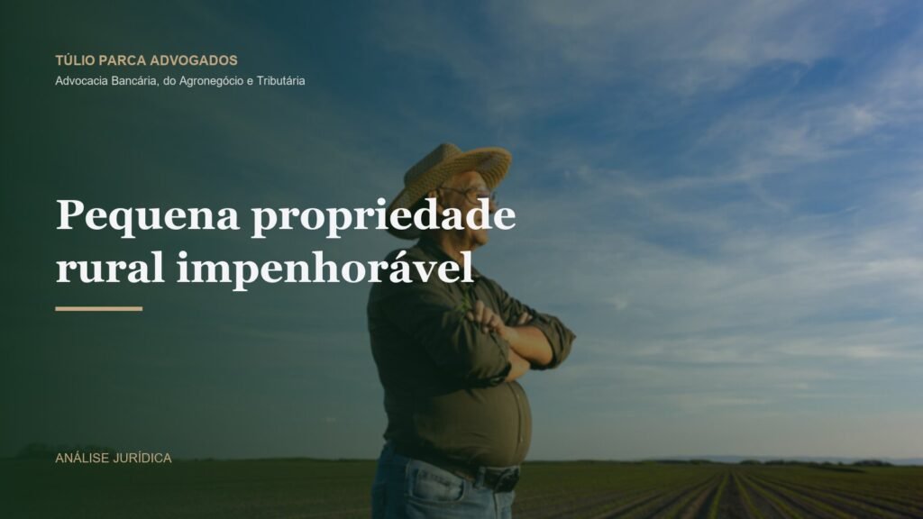Lavoura ao entardecer com produtor rural entre fileiras de plantas, representando a pequena propriedade rural